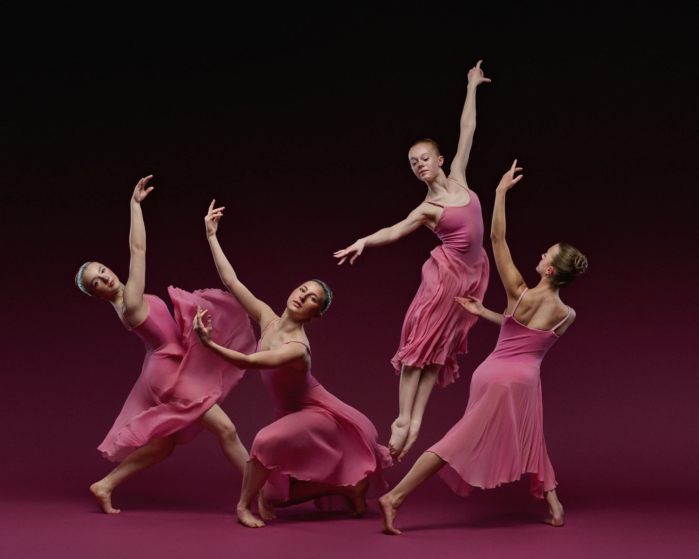 Four dancers in flowing pink dresses against a plum backdrop