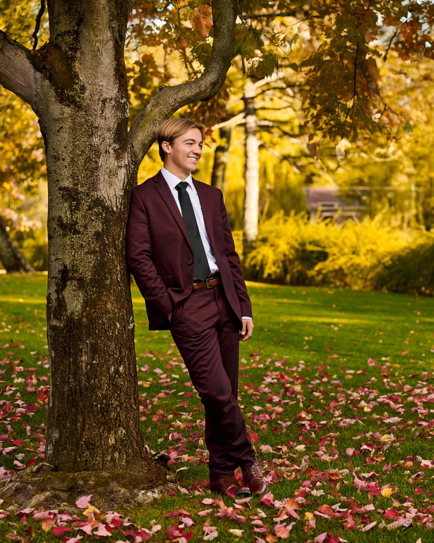 Portrait in a burgundy suit beside a tree with golden autumn leaves